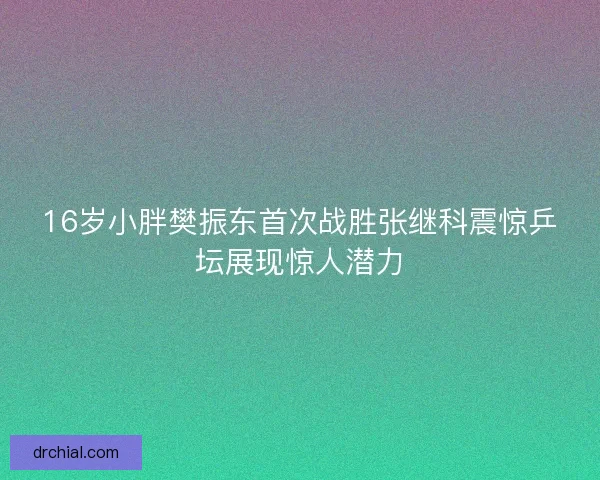 16岁小胖樊振东首次战胜张继科震惊乒坛展现惊人潜力