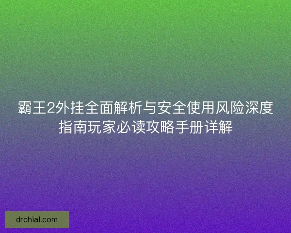 霸王2外挂全面解析与安全使用风险深度指南玩家必读攻略手册详解